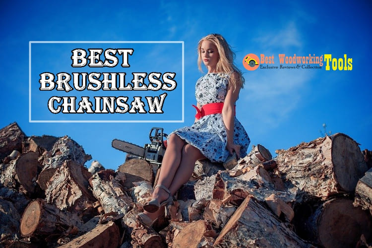 Best Brushless Chainsaw