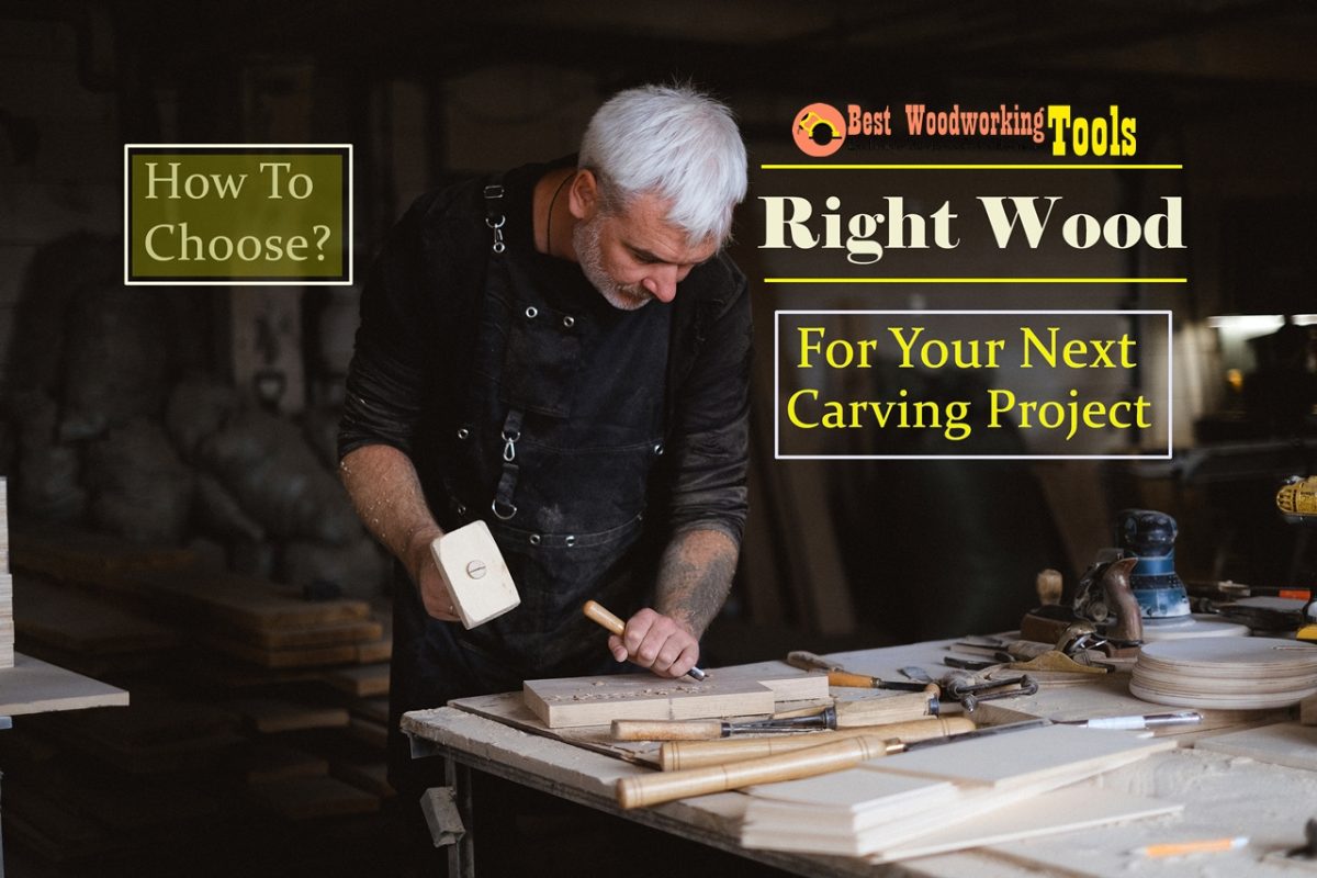 Right Wood For Your Next Carving Project How To Choose